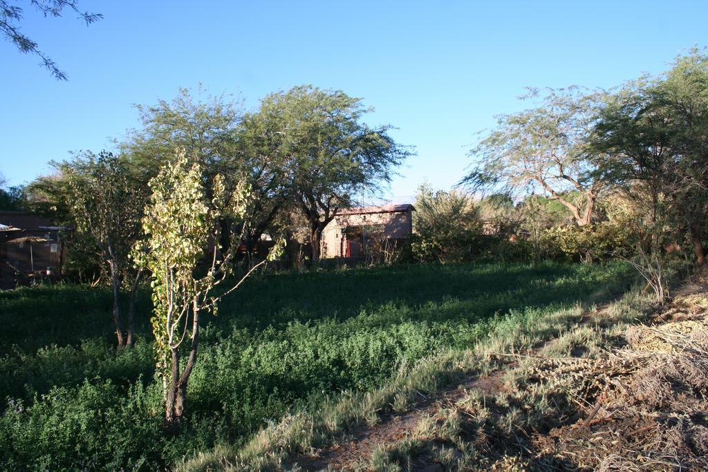 Quinta Adela Bed & Breakfast San Pedro de Atacama Exterior photo